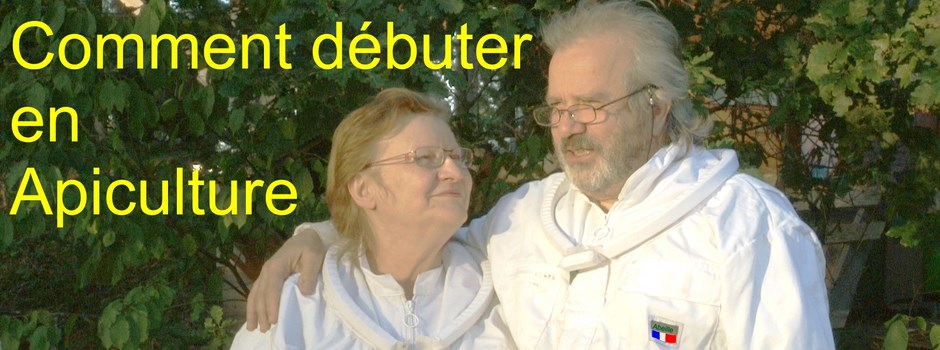 Comment débuter en Apiculture ?