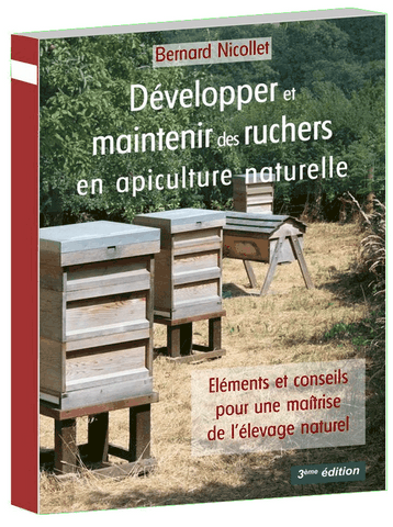 Apprenez l'art de la division pour ne pas perdre ! Formation apiculteur en Apiculture Naturelle